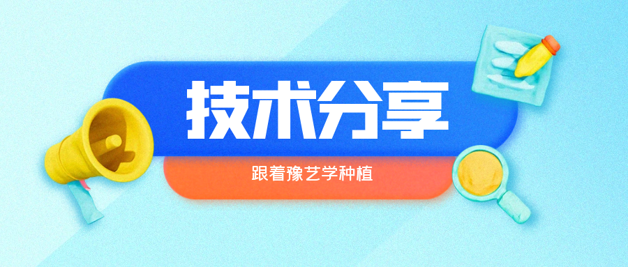 秋大棚辣椒、番茄育苗關(guān)鍵技術(shù)分享